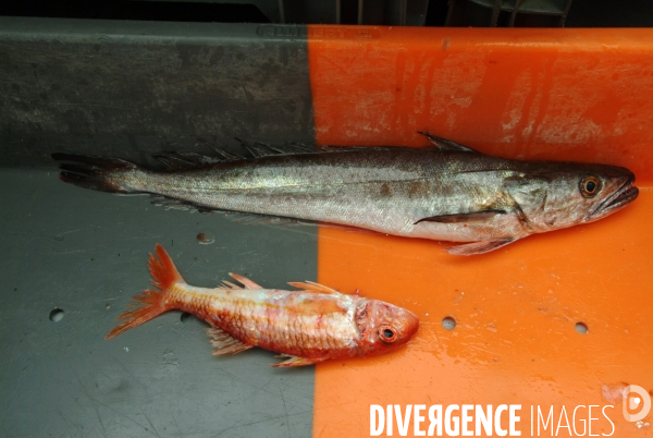 Le Lycee Maritime de Ciboure : formation de jeunes adolescents aux metiers de marins pecheurs