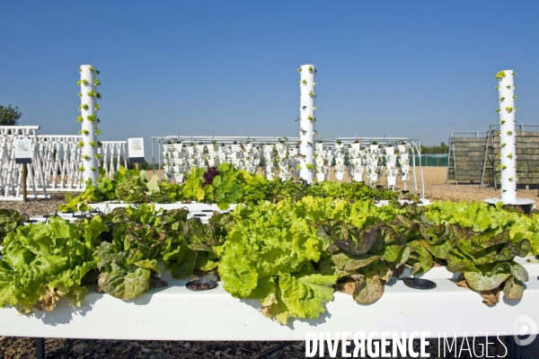 Le premier demonstrateur d agriculture urbaine en economie circulaire en France.
