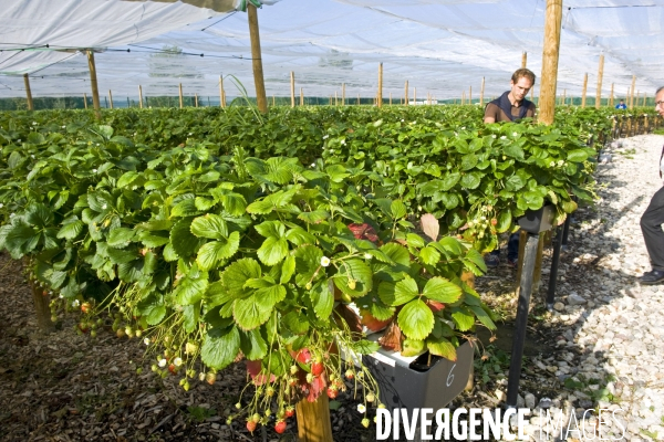 Le premier demonstrateur d agriculture urbaine en economie circulaire en France.