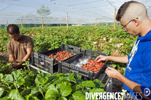 Le premier demonstrateur d agriculture urbaine en economie circulaire en France.