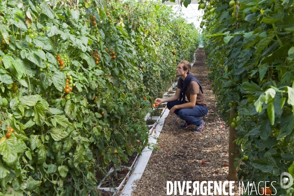 Le premier demonstrateur d agriculture urbaine en economie circulaire en France.