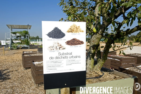 Le premier demonstrateur d agriculture urbaine en economie circulaire en France.
