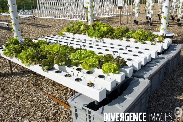 Le premier demonstrateur d agriculture urbaine en economie circulaire en France.