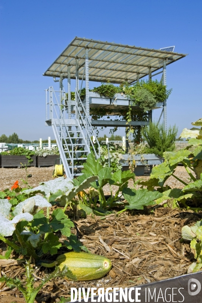 Le premier demonstrateur d agriculture urbaine en economie circulaire en France.