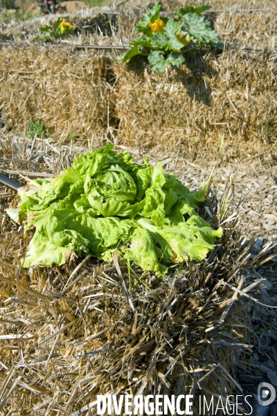 Le premier demonstrateur d agriculture urbaine en economie circulaire en France.