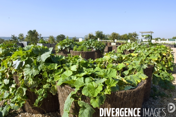 Le premier demonstrateur d agriculture urbaine en economie circulaire en France.