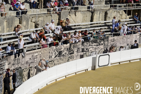 Corrida Goyesque à Arles