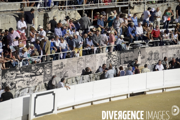 Corrida Goyesque à Arles