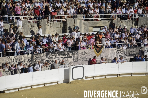 Corrida Goyesque à Arles