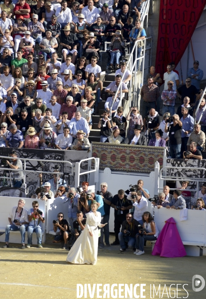 Corrida Goyesque à Arles