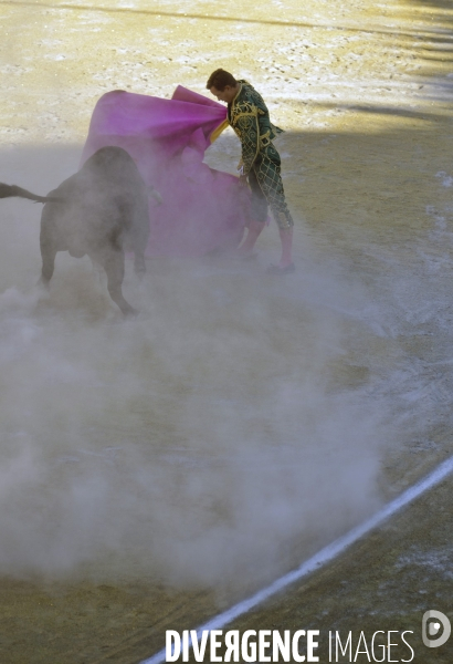 Corrida Goyesque à Arles