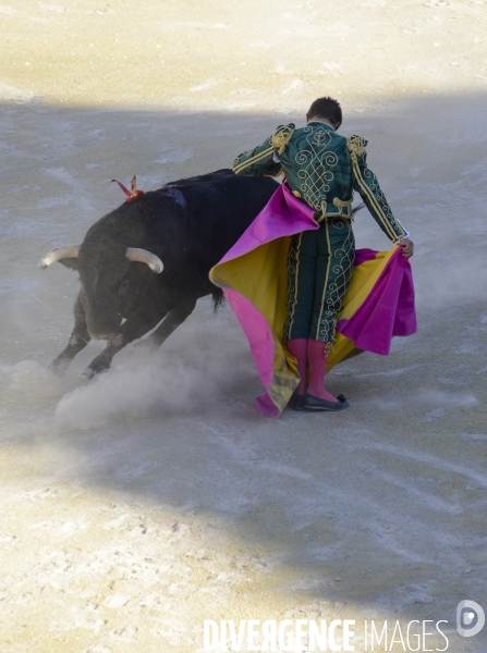 Corrida Goyesque à Arles