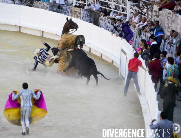 Corrida Goyesque à Arles