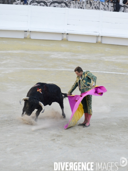 Corrida Goyesque à Arles