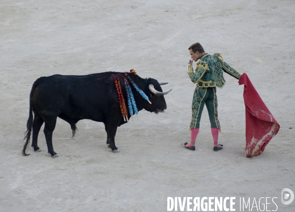 Corrida Goyesque à Arles