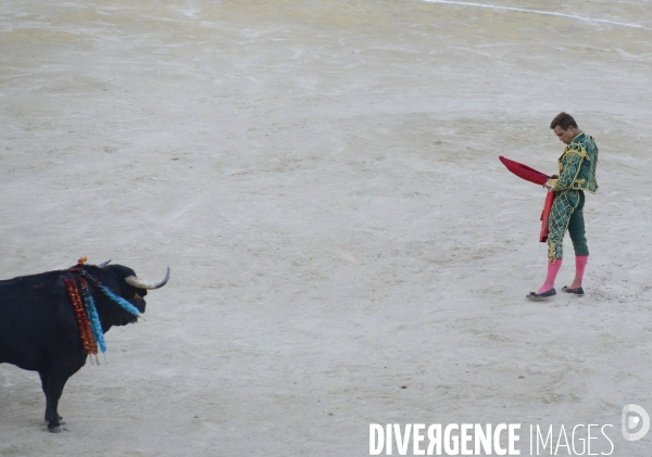 Corrida Goyesque à Arles