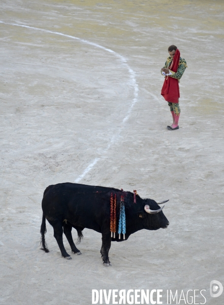 Corrida Goyesque à Arles