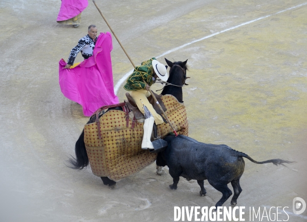 Corrida Goyesque à Arles