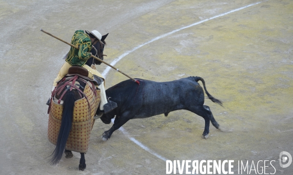 Corrida Goyesque à Arles