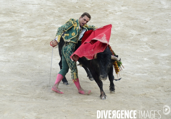 Corrida Goyesque à Arles