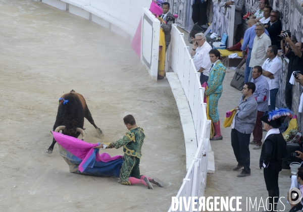 Corrida Goyesque à Arles