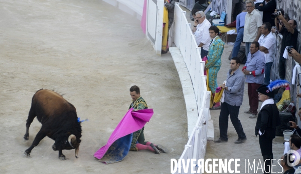 Corrida Goyesque à Arles