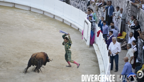 Corrida Goyesque à Arles