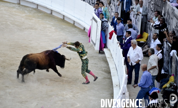 Corrida Goyesque à Arles