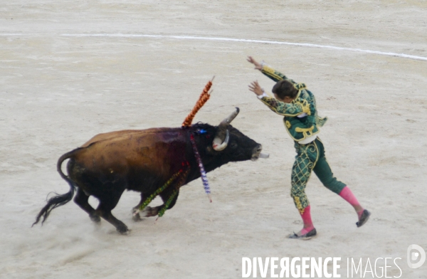 Corrida Goyesque à Arles