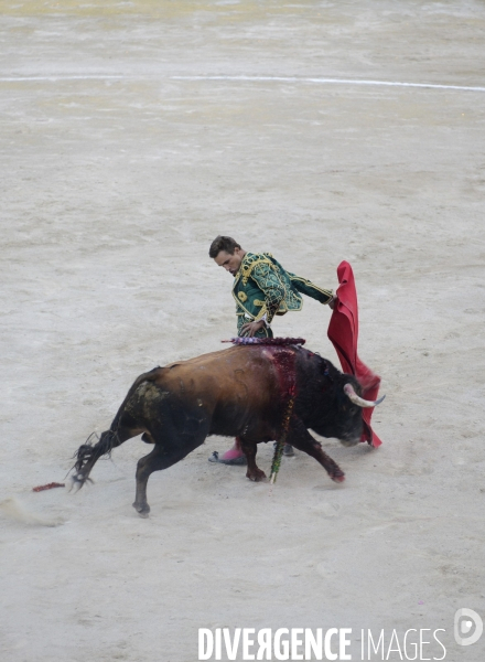 Corrida Goyesque à Arles