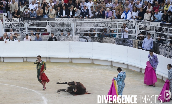 Corrida Goyesque à Arles