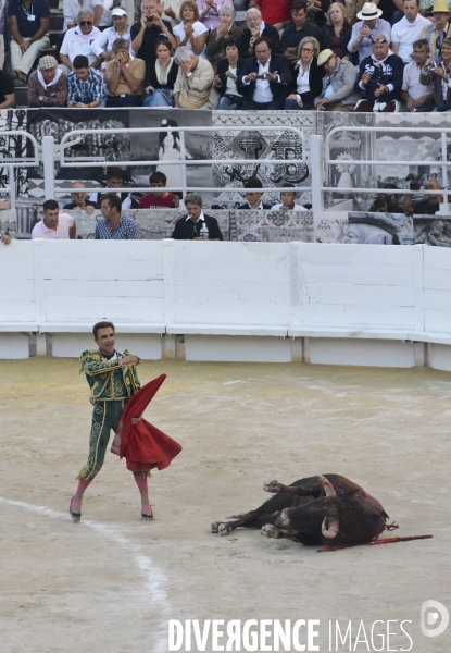 Corrida Goyesque à Arles