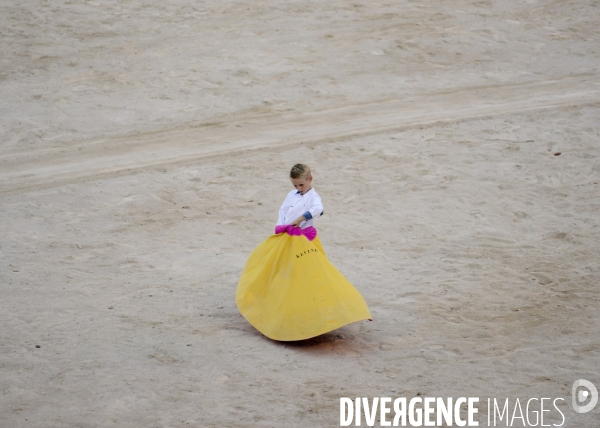 Corrida Goyesque à Arles
