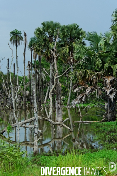 Made in TOGO : Parc du SARAKAWA