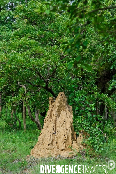 Made in TOGO : Parc du SARAKAWA