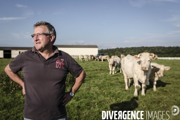 Philippe GUILLIEN, éleveur de bovins