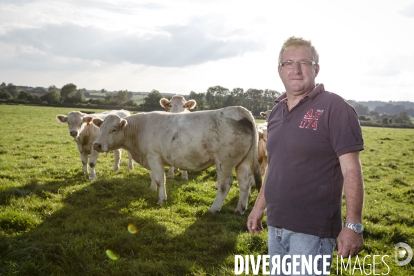 Philippe GUILLIEN, éleveur de bovins