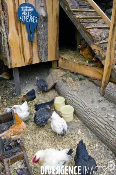 La gare d Ornano sur la petite ceinture transformee en un lieu de vie. Bienvenue a la Recyclerie ! Les poules du poullaier