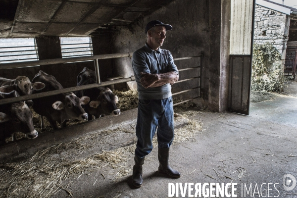 Les hommes, les vaches et...le robot.