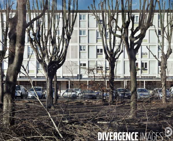La plaine est belle - paysages du Grand Paris