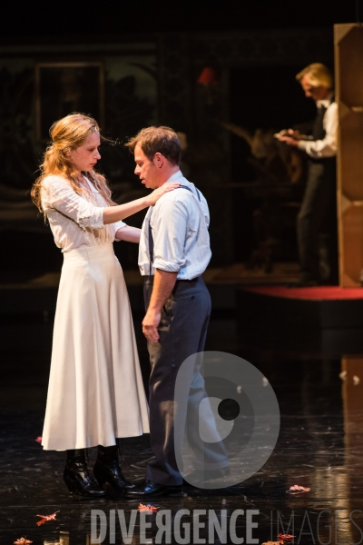 LA MOUETTE /  Frédéric Bélier-Garcia - Anton Tchekhov