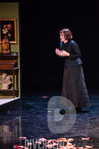 LA MOUETTE /  Frédéric Bélier-Garcia - Anton Tchekhov
