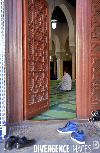 La Grande Mosquée de Paris