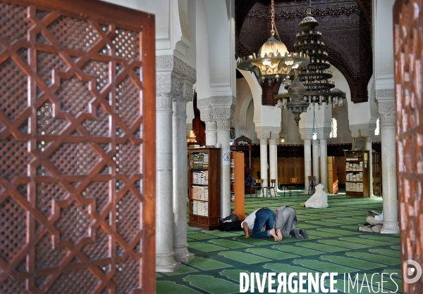 La Grande Mosquée de Paris