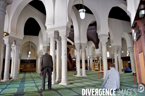 La Grande Mosquée de Paris