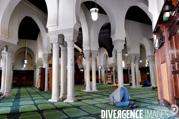 La Grande Mosquée de Paris