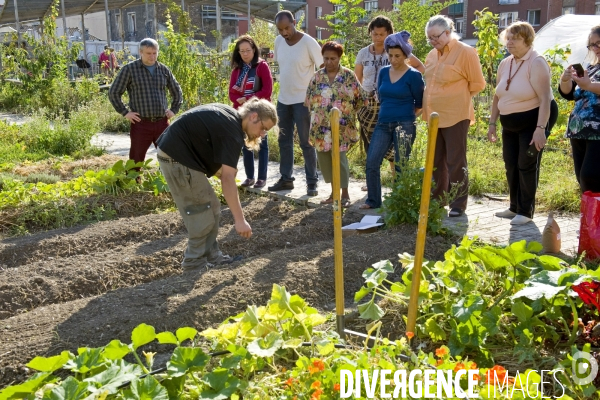 R Urban. Une ferme agro-ecologique participative a Colombes