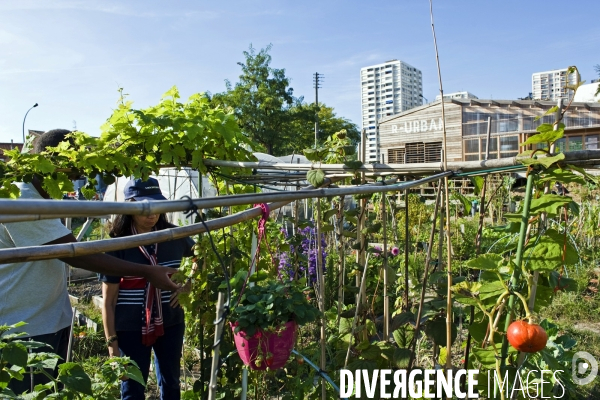 R Urban. Une ferme agro-ecologique participative a Colombes