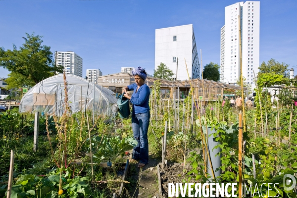 R Urban. Une ferme agro-ecologique participative a Colombes