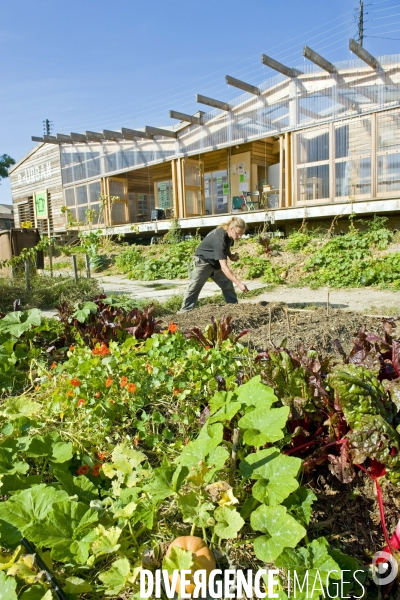 R Urban. Une ferme agro-ecologique participative a Colombes